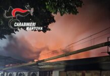 Inferno di fuoco alla Cantina Sociale di Quistello: ingenti danni ma nessun pericolo ambientale