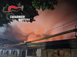 Inferno di fuoco alla Cantina Sociale di Quistello: ingenti danni ma nessun pericolo ambientale