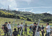 Il futuro? con Its Academy è “zero sbatti”