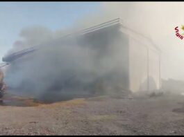 Rogo in azienda agricola: fienile distrutto a Borgo Virgilio