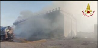 Rogo in azienda agricola: fienile distrutto a Borgo Virgilio