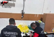 San Martino dall’Argine, scoperto laboratorio-ghetto: operai in nero pagati 9 euro per 12 ore di lavoro. Denunciato titolare per caporalato