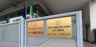 Schivenoglia, il Consiglio di Stato stoppa l’allevamento Biopig: annullata l’autorizzazione ambientale