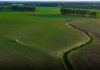 Portavoce Cina, pronti a facilitare commercio agricolo bilaterale con Usa
