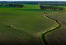 Portavoce Cina, pronti a facilitare commercio agricolo bilaterale con Usa