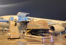 Cina, aperte 92 nuove rotte aeree cargo internazionali nel primo semestre