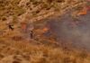 Spagna, almeno 11 vittime in un grave incendio in Andalusia