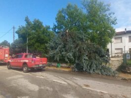Meteo shock nel Mantovano: grandine gigante e nubifragio devastano le campagne. Fognature in tilt, interrotta la Suzzara-Ferrara