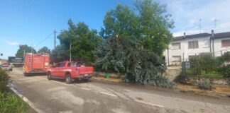 Meteo shock nel Mantovano: grandine gigante e nubifragio devastano le campagne. Fognature in tilt, interrotta la Suzzara-Ferrara