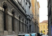 Via Grazioli invasa dai topi: persino le auto vanno in tilt