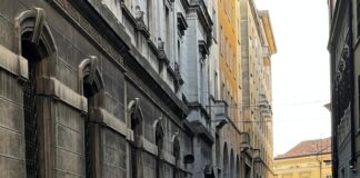 Via Grazioli invasa dai topi: persino le auto vanno in tilt