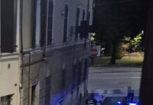 Urla, botte e sgasate: è l’estate mantovana