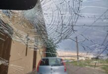 Maltempo a San Benedetto Po: via alla ricognizione dei danni per cittadini e imprese
