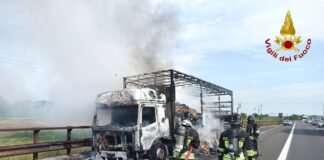 A22: camion in fiamme tra Pegognaga e Reggiolo, traffico in tilt ma nessun ferito