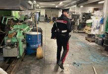 Le aziende chiudono per ferie, i ladri no. Sfondano le finestre e scappano con macchinari per cereali e utensili