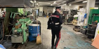 Le aziende chiudono per ferie, i ladri no. Sfondano le finestre e scappano con macchinari per cereali e utensili