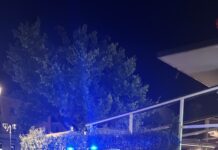 Fine settimana di controlli nel Mantovano: 7 denunce e maxi multa a un bar di Moglia
