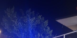 Fine settimana di controlli nel Mantovano: 7 denunce e maxi multa a un bar di Moglia