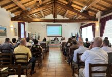 Il lavoro riparte: saldo positivo ma pochi contratti stabili