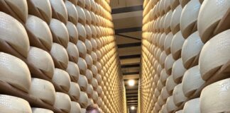 Il Console Generale cinese in visita nel Mantovano