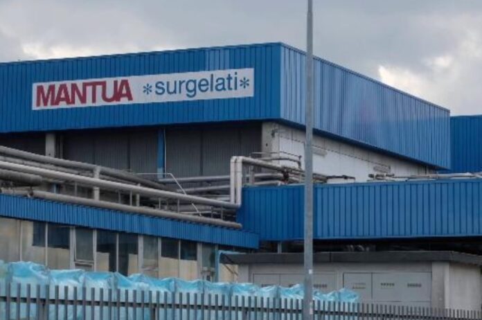 Lo stabilimento Mantua.it di Castelbelforte_4068087