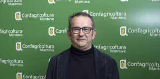 Carne bovina in crisi: Confagricoltura chiede un cambio di prospettiva