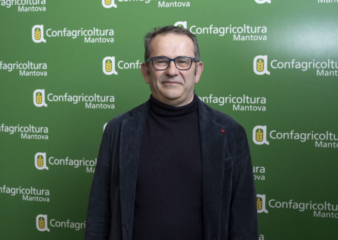 Negrisoli Marco