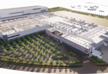 Mantova Diventa Hub Europeo del Petfood: Maxi Investimento da 560 Milioni di Euro da parte di Nestlé