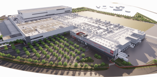 Mantova Diventa Hub Europeo del Petfood: Maxi Investimento da 560 Milioni di Euro da parte di Nestlé