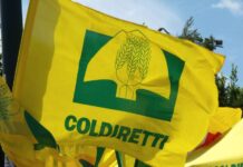 Ok a disegno di legge “ColtivaItalia”, Coldiretti: vittoria su banca dati filiera