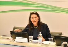 PROTEZIONE CIVILE. BULBARELLI (FDI): “REGIONE LOMBARDIA E PROVINCIA DI MANTOVA LAVORANO INSIEME PER LA SICUREZZA DEI CITTADINI”