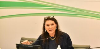 PROTEZIONE CIVILE. BULBARELLI (FDI): “REGIONE LOMBARDIA E PROVINCIA DI MANTOVA LAVORANO INSIEME PER LA SICUREZZA DEI CITTADINI”