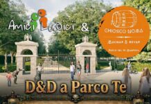 Parco TE (Chiosco NOMA) – avventure Dungeons & Dragons