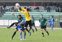 Calcio Prima Categoria – Marmirolo, un restyling ragionato. Capelli: “Daremo battaglia”