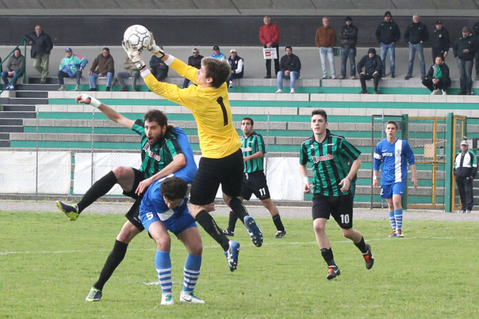 badalotti4_4053578