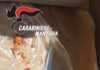 Bagnolo San Vito: macellava galline sul balcone con rito halal, scatta la denuncia per un 57enne marocchino