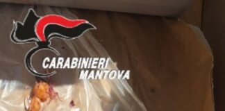 Bagnolo San Vito: macellava galline sul balcone con rito halal, scatta la denuncia per un 57enne marocchino