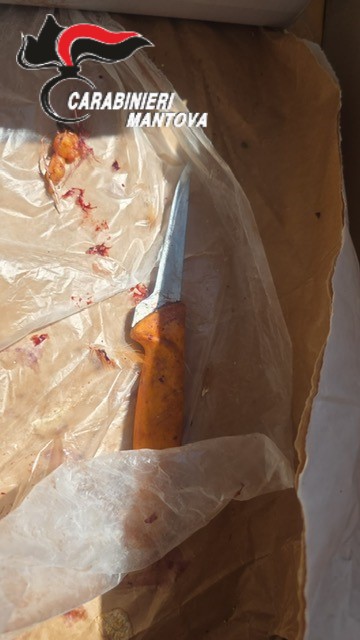 bagnolo san vito coltello