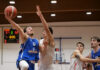 Basket mercato – L’Amica Chips conferma anche Bortolotto. Viadana si rinforza con il play Bonaretti
