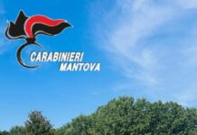 Grave incidente sul lavoro a Gonzaga: agricoltore di 46 anni schiacciato da un trattore, è in pericolo di vita