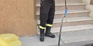 Serpente intrappolato in un tombino: recuperato e affidato all’Ats