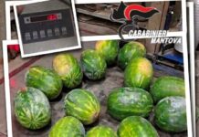 Furto di angurie finisce in rapina: due finiscono in carcere