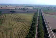 Ciclovia del Sole chiusa tra Porto Mantovano e Marmirolo: stop al transito fino all’11 settembre