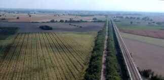 Alberi caduti: ciclovia del Sole chiusa tra Porto Mantovano e Marmirolo fino all’11 settembre