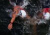 Italia d’argento nella staffetta mista agli Europei di nuoto di fondo