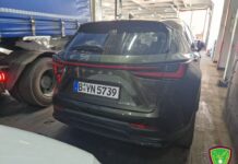 Auto clonate per il mercato nero in Tunisia, sequestri a Palermo