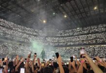 Biglietti falsi per i grandi concerti: boom di segnalazioni a Mantova