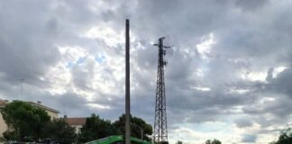 Motoseghe sugli alberi: il “silenzio assordante” degli ecologisti
