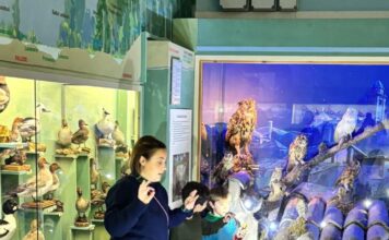 Canneto sull’Oglio, ‘Notte al Museo”
