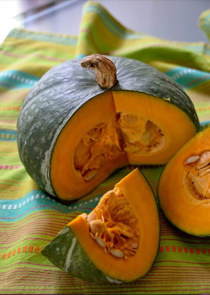 Casalmaggiore, Venerdì 28 Agosto al via la 13esima edizione di ‘Quattrocase e le sue Zucche’ con tre serate di divertimento e di buona cucina per celebrare la preziosa zucca_4110756